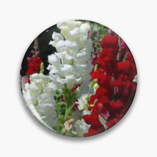 Item preview, nice snapdragon.  designed and sold by Lan thi Nguyen.