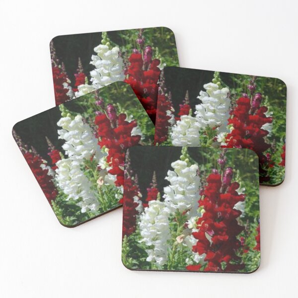 Item preview, nice snapdragon.  designed and sold by Lan thi Nguyen.