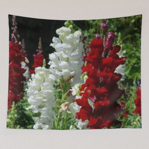 Item preview, nice snapdragon.  designed and sold by Lan thi Nguyen.