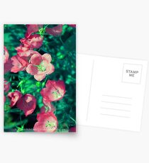 Summer Bliss Postcards
