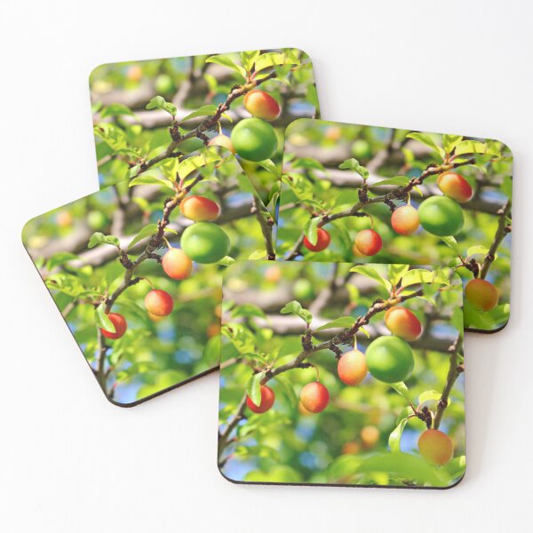 Item preview, Cherry plum or Myrobalan plum designed and sold by Light79.