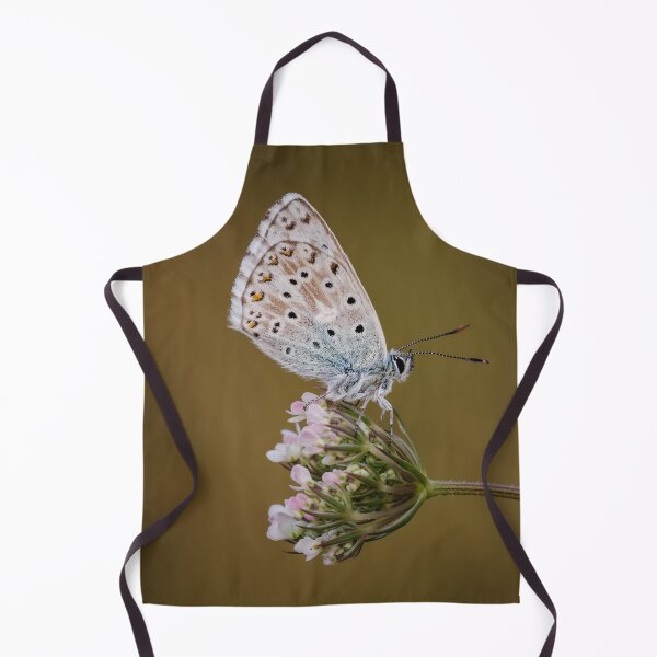 Item preview, Chalkhill Blue On Wild Carrot designed and sold by Alec Stewart.