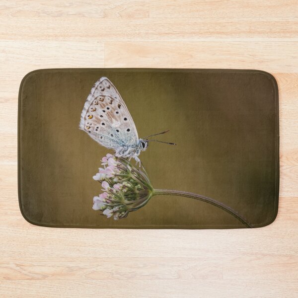 Item preview, Chalkhill Blue On Wild Carrot designed and sold by Alec Stewart.