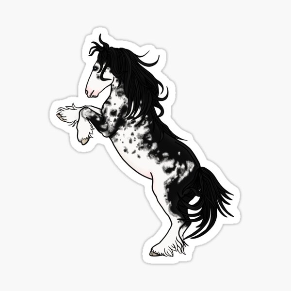 Vista previa del artículo con la obra «Crianza de Gypsy Vanner- Black Sabino», diseñado y vendido por OryPhotography.