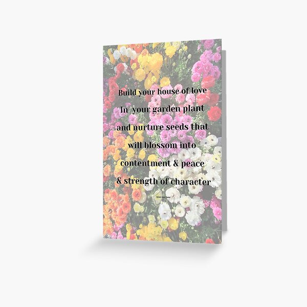 Blossoms of Peace Greeting Card