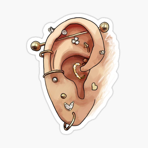 Human Ear Illustration Sticker