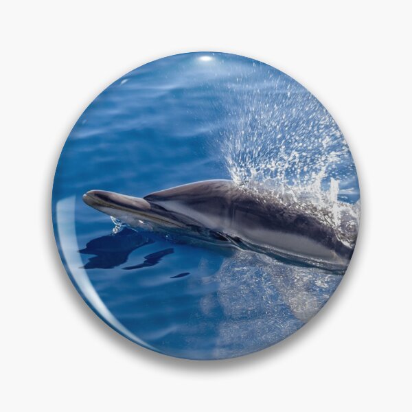 Item preview, Cute Common dolphin jumping in the Atlantic ocean. designed and sold by AylaHarbich.