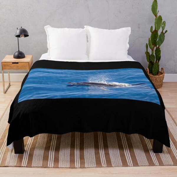 Item preview, Cute Common dolphin jumping in the Atlantic ocean. designed and sold by AylaHarbich.