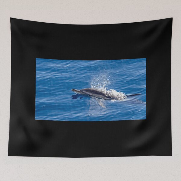 Item preview, Cute Common dolphin jumping in the Atlantic ocean. designed and sold by AylaHarbich.
