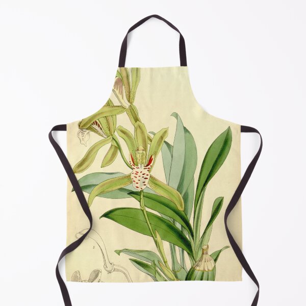 Item preview, Cymbidium tigrinum designed and sold by EsotericBotanic.