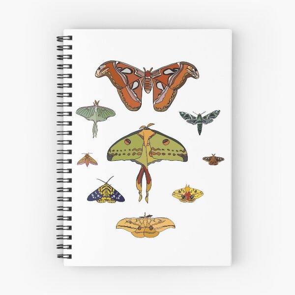 Item preview, Moths designed and sold by DanSam.