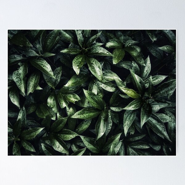 Aperçu de l'œuvre Feuilles vert foncé avec motif de gouttes de rosée créée et vendue par Alex Tesl.