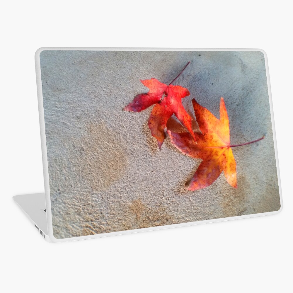 Item preview, Laptop Skin designed and sold by etourist.