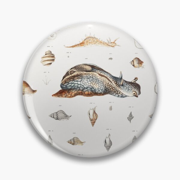 Item preview, Naturalist Snails designed and sold by BlueSpecsStudio.