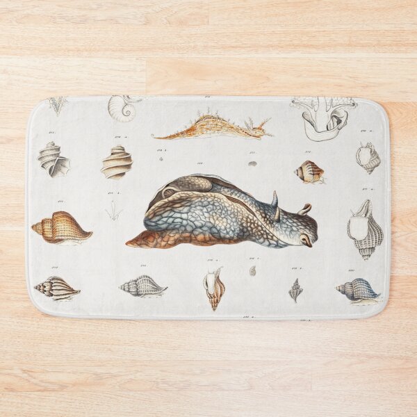 Item preview, Naturalist Snails designed and sold by BlueSpecsStudio.