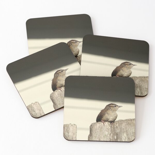Item preview, Carolina Wren  designed and sold by AGODIPhoto.