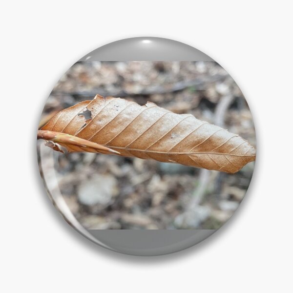 Item preview, New Growth, Old Growth designed and sold by Max Kindly.