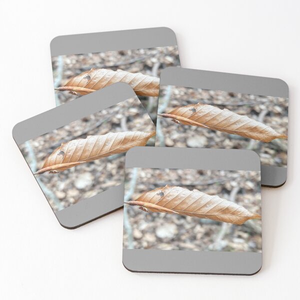 Item preview, New Growth, Old Growth designed and sold by Max Kindly.