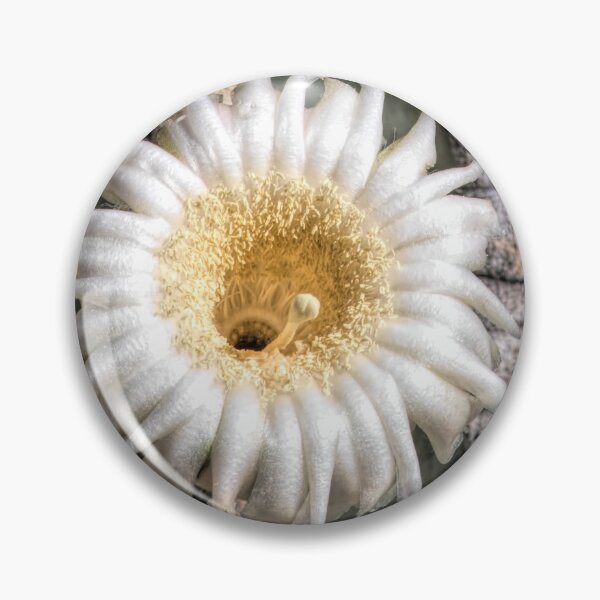 Item preview, Arizona Saguaro Blossom Square designed and sold by Elisabeth Lucas.