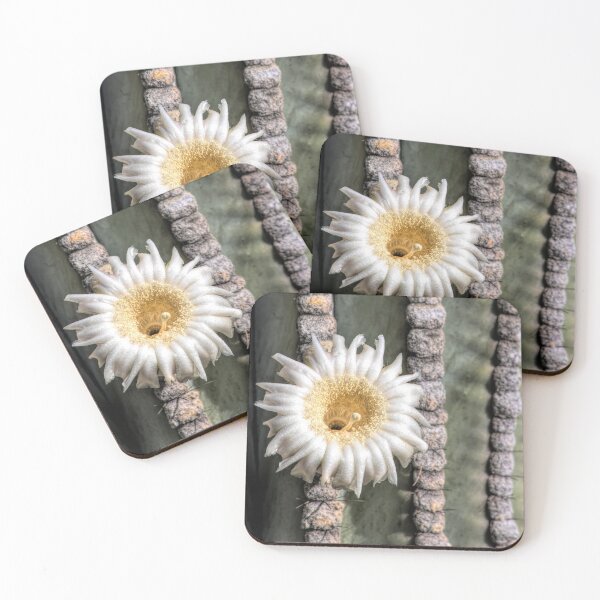 Item preview, Arizona Saguaro Blossom Square designed and sold by Elisabeth Lucas.