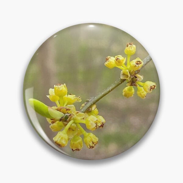 Item preview, Northern Spicebush in Full Swing designed and sold by Max Kindly.