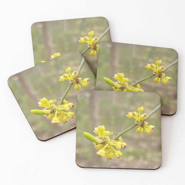 Item preview, Northern Spicebush in Full Swing designed and sold by Max Kindly.