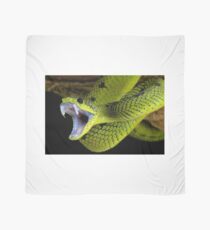 Fangs Green Snake Scarf