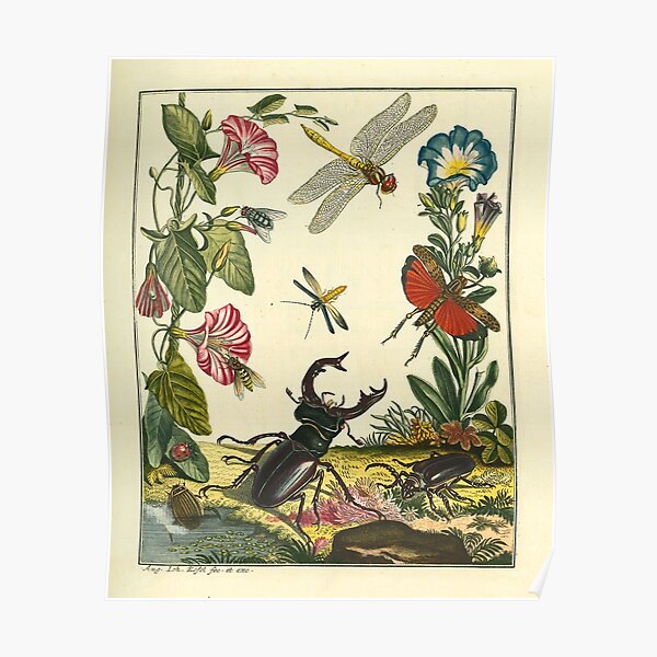 Insect Scene Poster