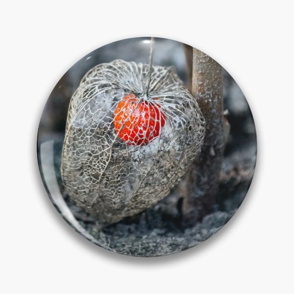Item preview, Ground cherry designed and sold by Martulia.
