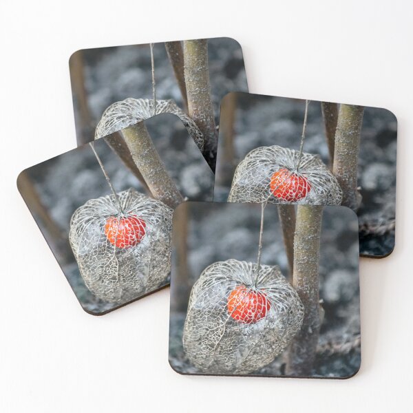 Item preview, Ground cherry designed and sold by Martulia.