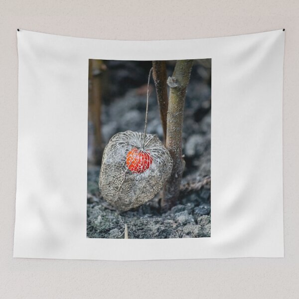 Item preview, Ground cherry designed and sold by Martulia.
