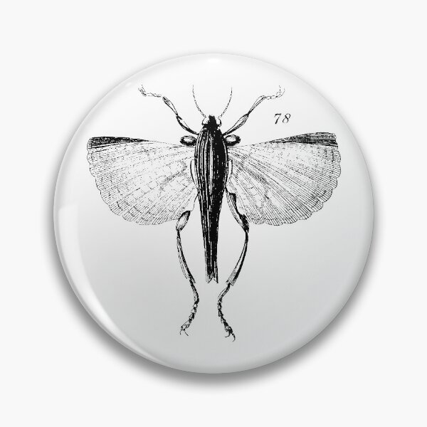 Item preview, Entomology Artwork / Bug / Insect designed and sold by art-fox.