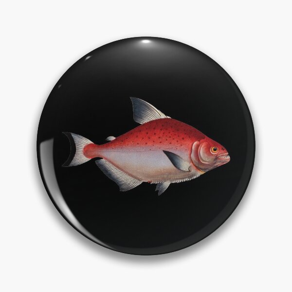 Item preview, Scientific Red Fish Illustration designed and sold by InnerCitadel.