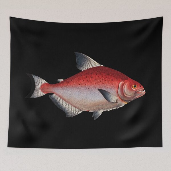 Item preview, Scientific Red Fish Illustration designed and sold by InnerCitadel.