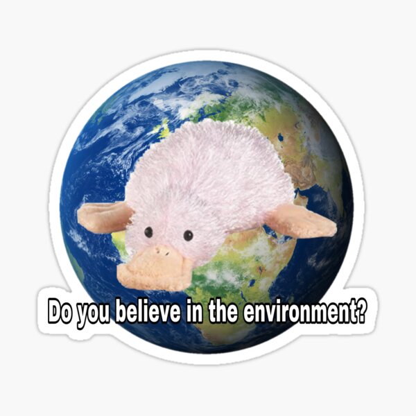 Webkinz waddles do you believe in the environment meme Sticker