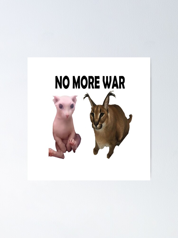 "Big Floppa And Bingus No More War" Poster for Sale by ouyoussfyassine