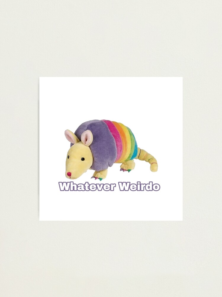 webkinz armadillo