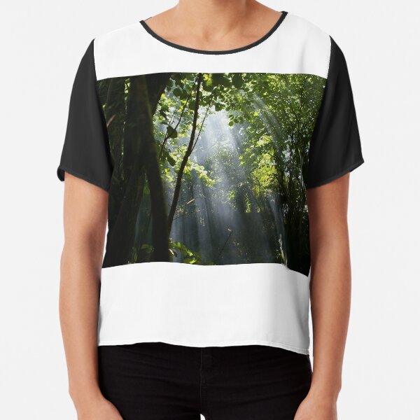 Sun Rays Chiffon Top