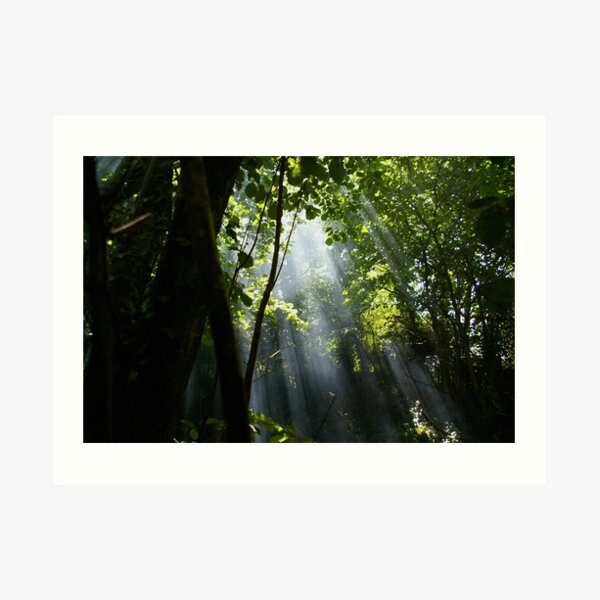 Sun Rays Art Print
