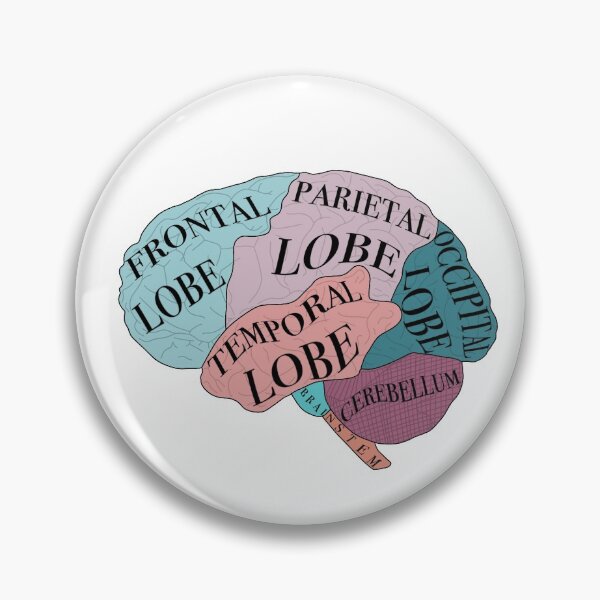 Item preview, Labeled Brain designed and sold by kaylanettleton.