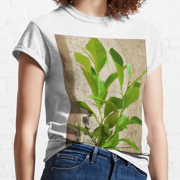 Picture of a green plant Classic T-Shirt