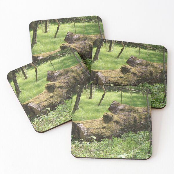 Item preview, Only the Mossiest of Logs designed and sold by Theophanes Avery.
