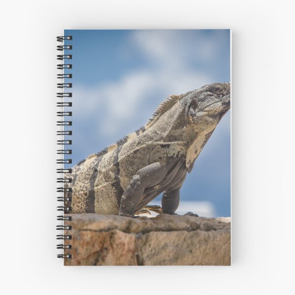 Item preview, Iguana Sky designed and sold by Ken Fleming.