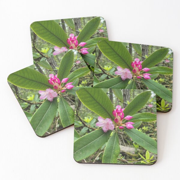 Item preview, Pink Rhody Flowers designed and sold by Djjin66.