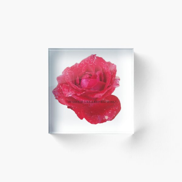 Item preview, Volksbolts/KABFA Designs My love is like a Red, Red, Rose pome quote By Robert Burns designed and sold by KABFA Designs.