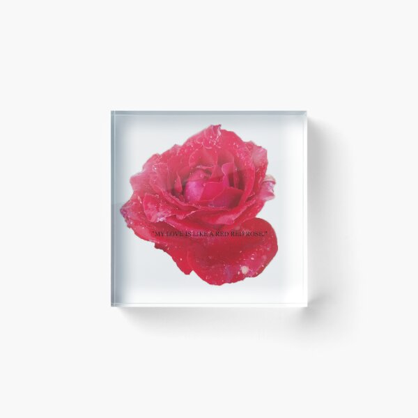 Item preview, Volksbolts/KABFA Designs My love is like a Red, Red, Rose pome quote By Robert Burns designed and sold by KABFA Designs.