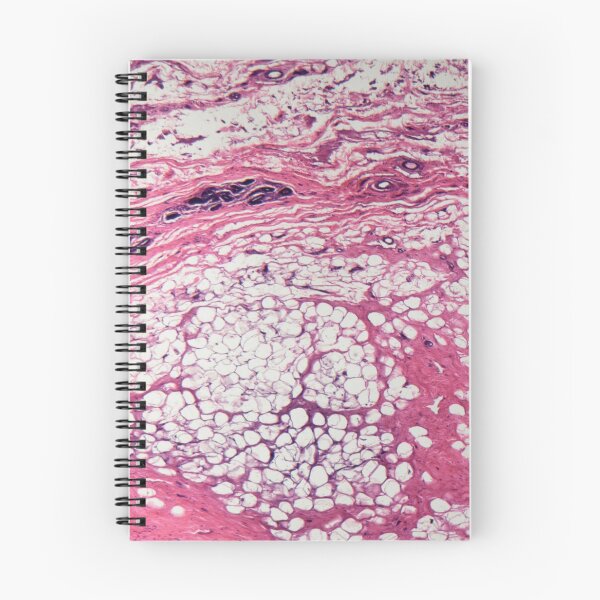 Item preview, Human mammary gland cells under the microscope designed and sold by Zosimus.
