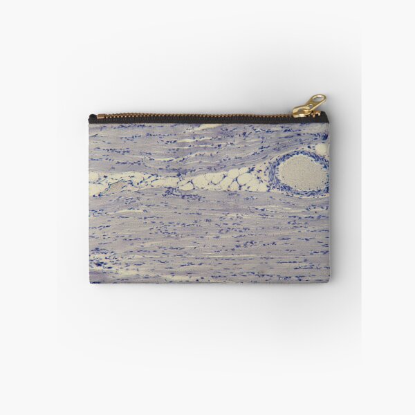 Item preview, Human skeletal muscle under the microscope designed and sold by Zosimus.