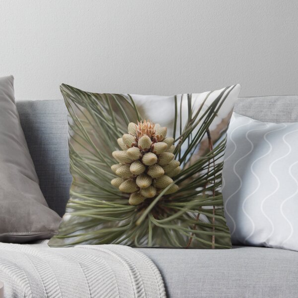 Item preview, Flower of a bull pine tree, Pinus ponderosa designed and sold by Zosimus.