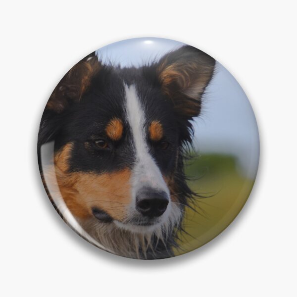 Item preview, Border Collie designed and sold by RONALD MACKENZIE.